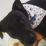 Leonor Jaramillo - @leonor.jaramillo.33 - Instagram