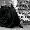leonor jasso - @leonorjasso597 - TikTok