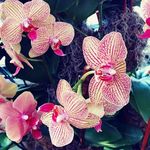 Leonor Miller - @leonormiller38 - Instagram