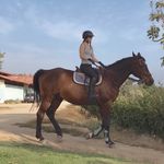 Leonor M. Mateluna - @_leonormoreno - Instagram