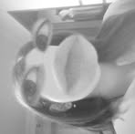 Leonor Pinto - Facebook