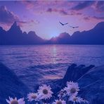 Leonor Rebollo - Facebook