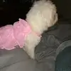 Leonor Rios - @leonorrios260 - TikTok