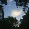 Leonor rios - @leonorlobatos1 - TikTok