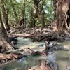 leonorrios91 - @leonor.rios61 - TikTok