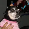 leonorrios - @leonorrios367 - TikTok