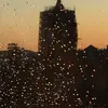 Leonor Beirão Schaff - @leonorschaff - TikTok