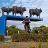 Leonor Torrez - @leonor.torrez6 - TikTok