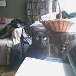 Leonora Lambert - @noralambertd71f - Instagram