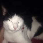 @leonoralambert23 - Instagram