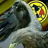 Leopoldo Jimenez - @leopoldojimenez5 - TikTok