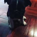 Leopoldo Marquez - @leopoldo_marquez_de_miguel - Instagram