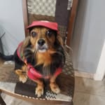 Antonio Jose Serrano Suarez - @leopoldo.serranosuarez - Instagram