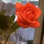 Leota Thompson-Lee Phillips - @laphilli - Instagram