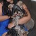 Billy Oliveira Lepolepo - Facebook