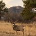 Leroy Allison - Facebook