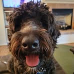 Leeroy Allsup - Facebook