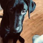 Asher Leroy - @asherleroy18 - Instagram