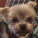 Baxter Leroy - @baxter_leroy - Instagram
