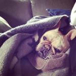 Leroy Beaman - @leroy.beaman - Instagram