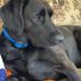 LeRoy Beaman - Facebook