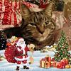 Leroy Bean Entwistle - @leroybeanentwistle - TikTok