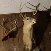 LeRoy carpenter - @leroy.carpenter8 - TikTok