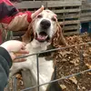 Leroy Carpenter - @leroy.carpenter - TikTok