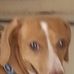 Leroy Cartwright - Facebook