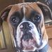 LeRoy Cody Case - Facebook