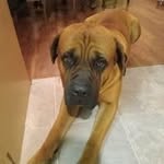 Chase Leroy - @chaseleroy2009 - Instagram