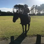 Leroy Chase - @chaseler9784 - Instagram