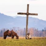 LeRoy Darling - @cowboy62945 - Instagram