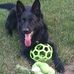 Larry Deardorf - Facebook