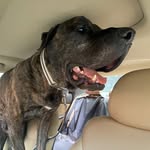 Downtown Leroy Brown - @leroy.doesnt.fit - Instagram