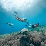 Leroyfdoesdive - @leroydoesdive - Instagram
