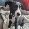 Leroy Drake - @leroy.drake19 - TikTok