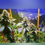 Farmer Jerry Leroy - @leroythefarmer - Instagram