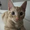 Leroy Fields - @leroydadog - TikTok