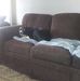 Leroy Fitzpatrick - Facebook
