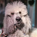 Forrest Leroy Rasco - @forrestleroy23 - Instagram