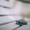 leroyforrest679 - @leroyforrest679 - TikTok