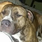 Leroy Fowler - @fowlerleroy9 - Instagram
