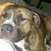 Leroy Fowler - Facebook