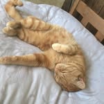 Leroy Frank III - @leroy_frank_iii - Instagram