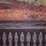 Leroy Geiger - @zaviagomri - Instagram