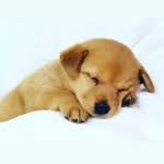 Judith Goldstein Leroy - @judithgoldsteinleroy - Instagram