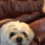 Leroy Griffiths - @leroy_griffiths_of_the_uk - Instagram