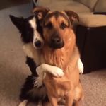 Leroy Thomas Griffiths - @leroythomasgriffiths - Instagram