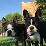 Hamilton & Zoe LeRoy - @hammynzoeleroy - Instagram